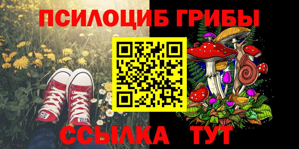 Галлюциногенные грибы GOLDEN TEACHER Луга
