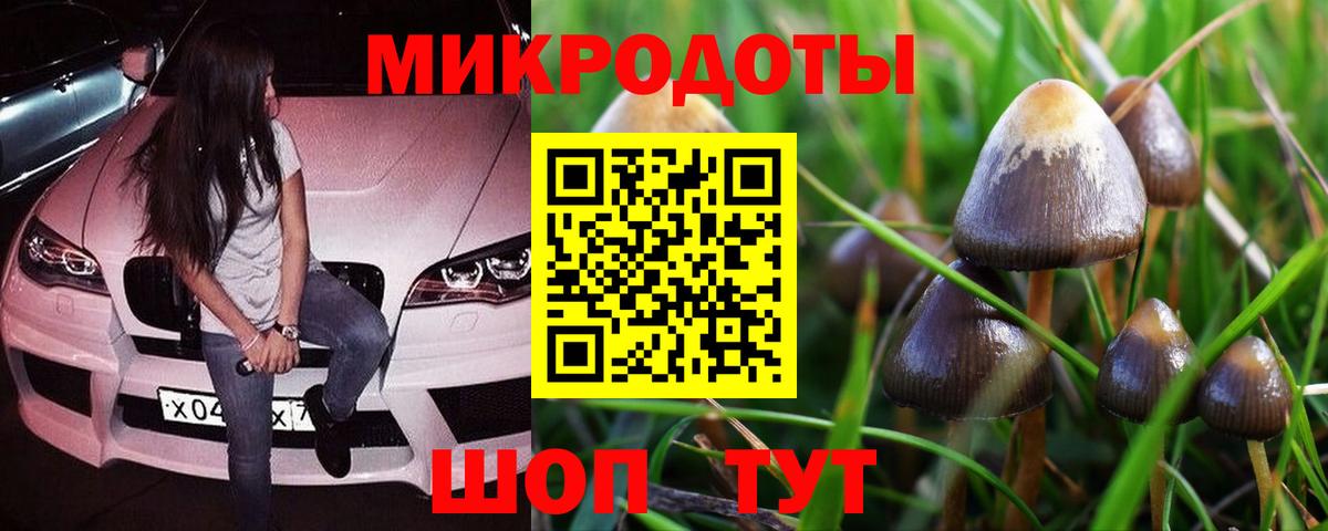 Галлюциногенные грибы MAGIC MUSHROOMS  Вход с VPN  Луга 